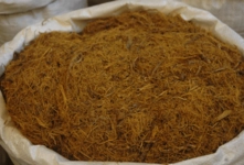 Meyan Özellikleri ve Faydaları Nelerdir?